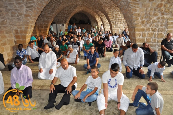 3ed ad7a ma7modiya (20).JPG